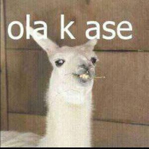 Meet your Posher, Nora